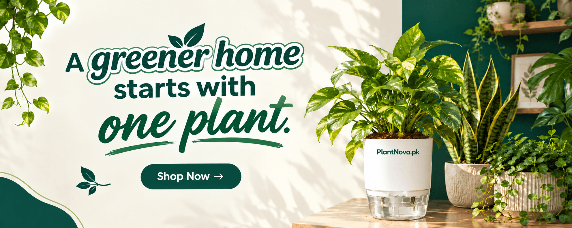 PlantNova Hero Banner
